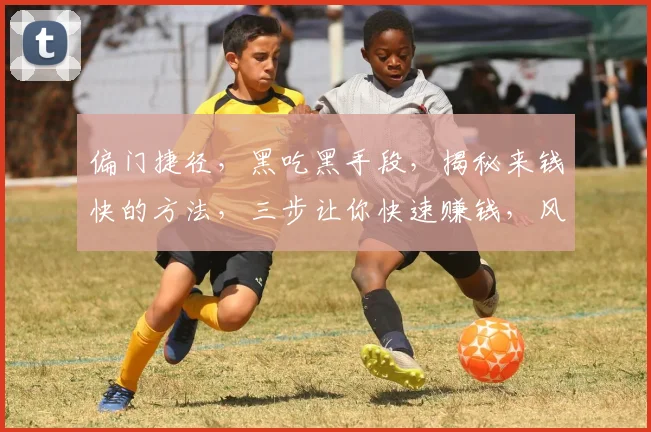 偏门捷径，黑吃黑手段，揭秘来钱快的方法，三步让你快速赚钱，风险自担