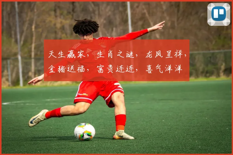 天生赢家，生肖之谜，龙凤呈祥，金猪送福，富贵连连，喜气洋洋